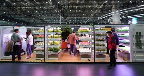 进博会上的“集装箱农场” 科技重塑农产品生产新未来