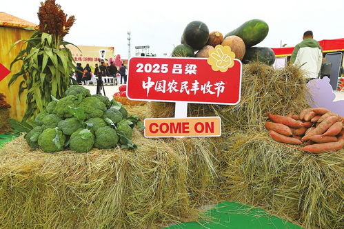 庆农业丰收 享美好生活